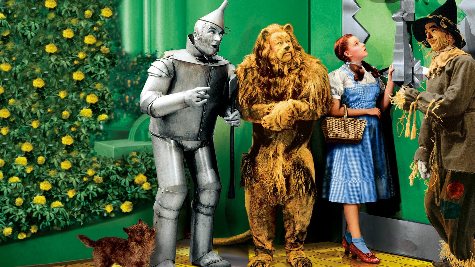 Le Magicien D Oz Dessin Animé 1986 Streaming Le magicien d'Oz en streaming direct et replay sur CANAL+ | myCANAL